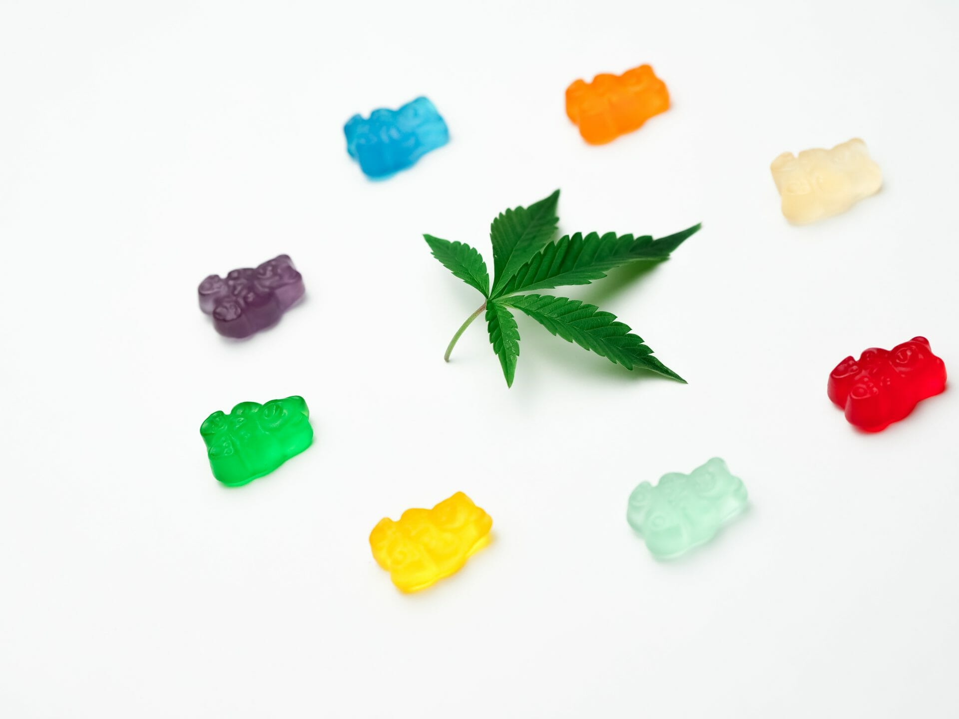 Grasslife - cannabis Dispensaries | Bloom Supply Canada
