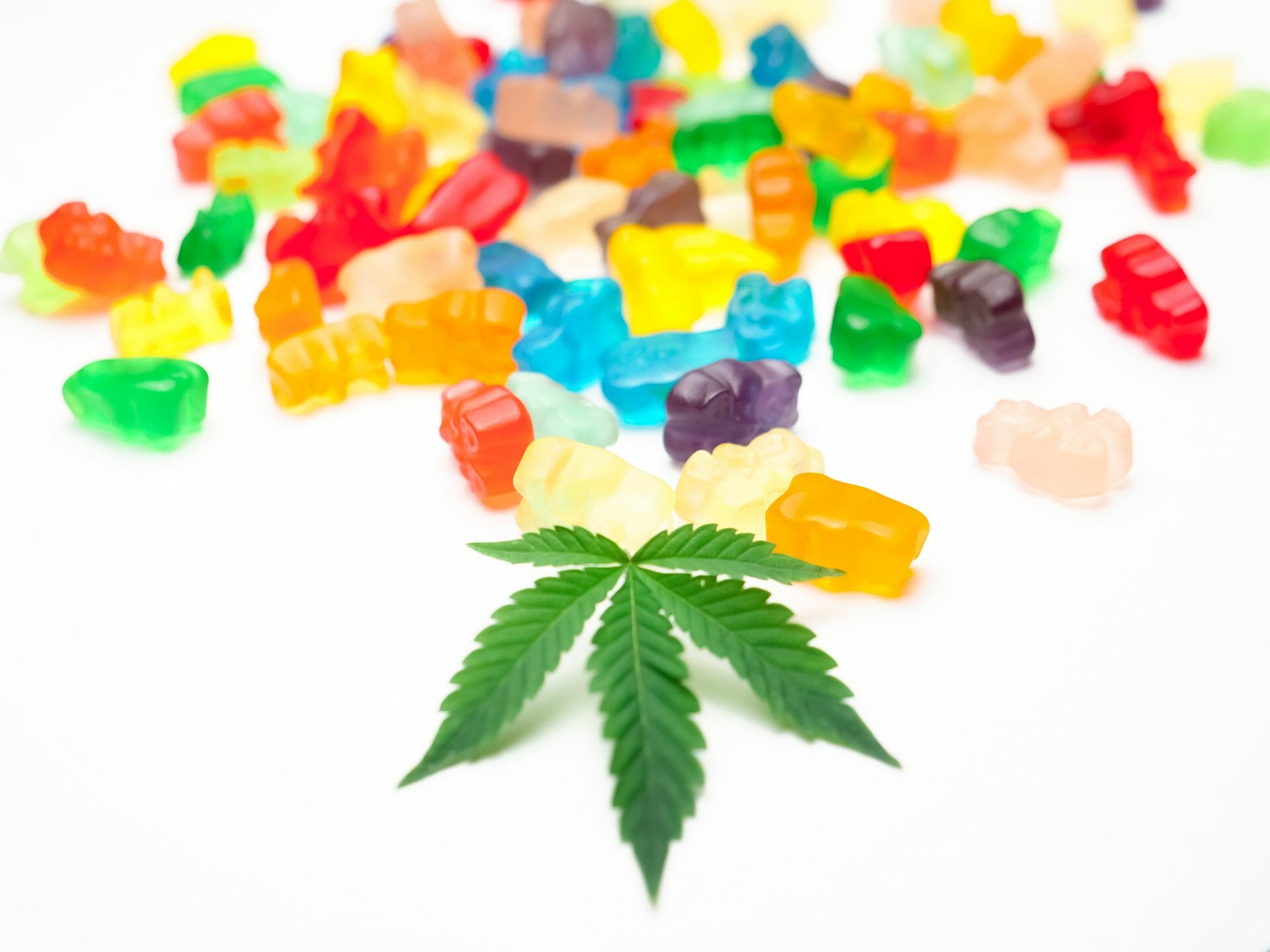 Weed Gummy | Bloom Supply Canada