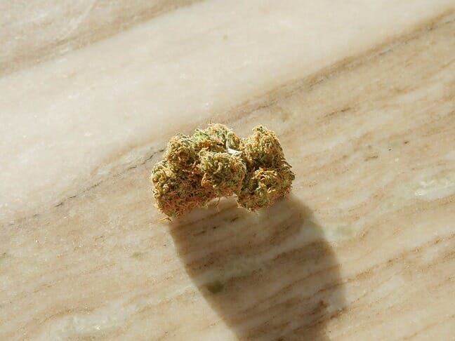 Grasslife cannabis Strains in Canada | Bloom Supply Canada