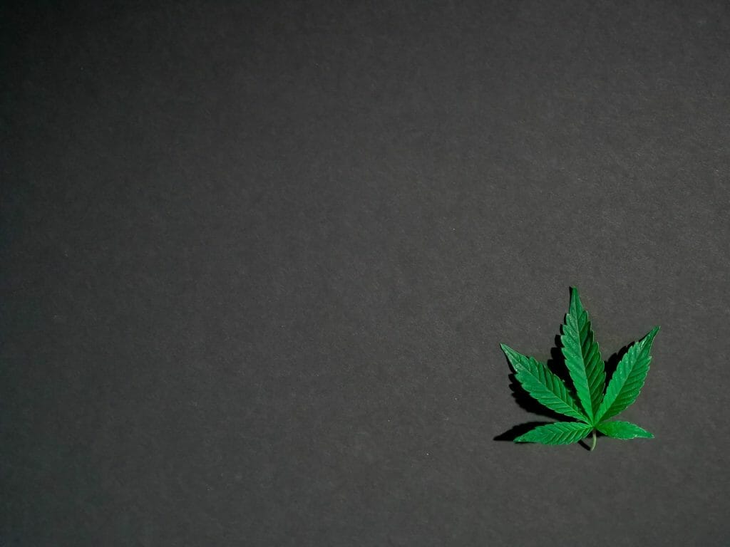 Hybrid Weed | Bloom Supply Canada