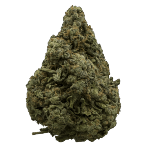 White Rhino | Bloom Supply Canada