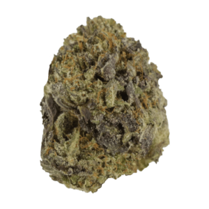 Snow Leopard | Bloom Supply Canada