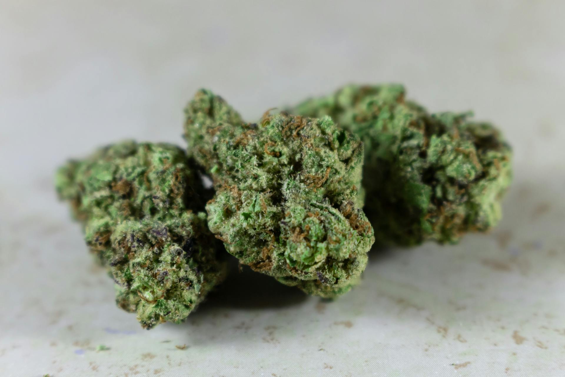 Best Indica Online in Canada | Bloom Supply Canada