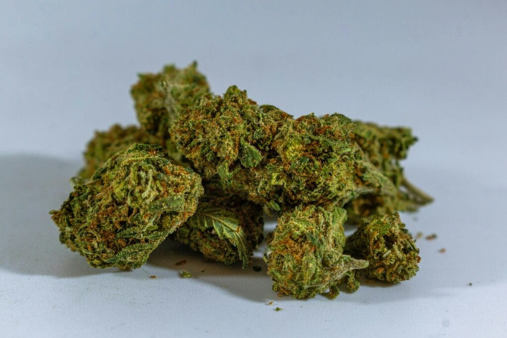 cheap-weed-online-canada | Bloom Supply Canada